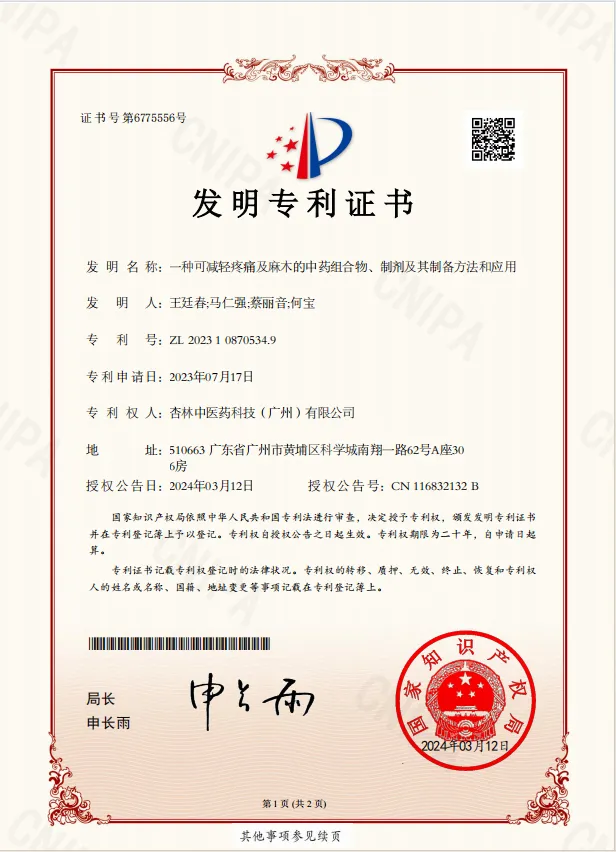 一种可减轻疼痛及麻木的中药组合物、制剂及其制备方法和应用