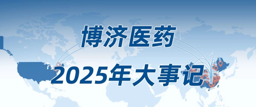 2025，这一年我们一起走过