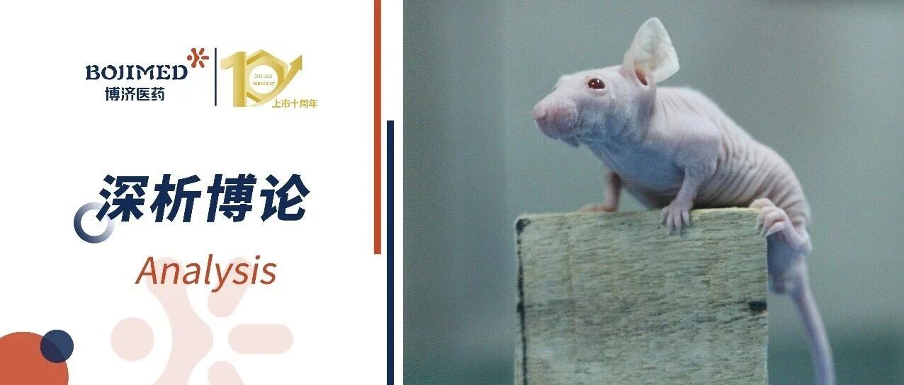 靴子落地!替代动物!FDA新规为肿瘤新药研发“松绑”